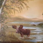 Moose in Water 12x16